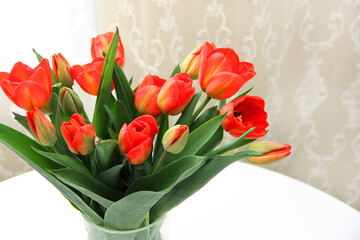 a bouquet of tulips in close-up. spring bouquet of red tulips