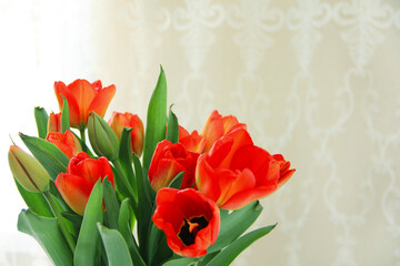 a bouquet of tulips in close-up. spring bouquet of red tulips