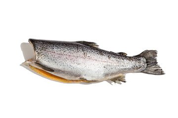 Raw trout carcass isolated on a white background. Sea fish, healthy food, mockup, flat lay