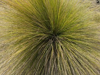 Obraz premium Constanza, Dominican Republic 