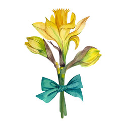 Fototapeta na wymiar A composition of spring flowers with a turquoise bow, daffodils and yellow tulips on a white background.