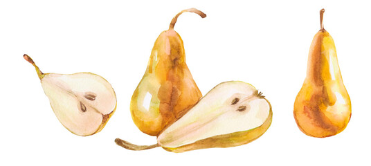 Isolated watercolor yellow pears collection. Pear fruit pieces of different shapes isolated on white background