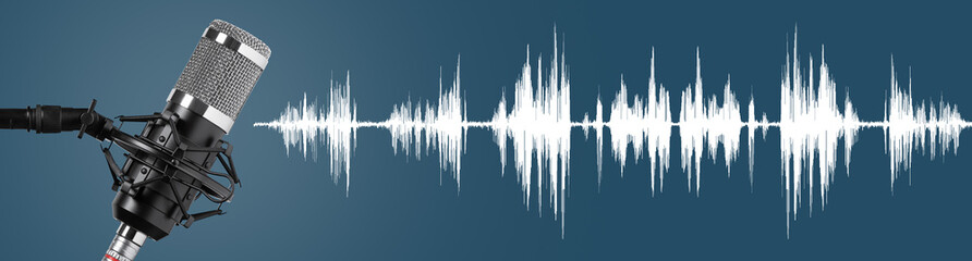 Studio microphone for recording podcasts
