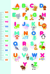 Meter wall or height chart with cute zoo alphabet cartoon animals isolated on white background.