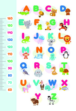 Meter wall or height chart with cute zoo alphabet cartoon animals isolated  on white background. Stock Vector | Adobe Stock