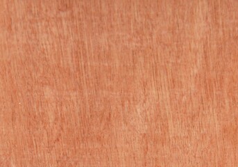 Fototapeta premium plano de fundo de madeira rustica clara 