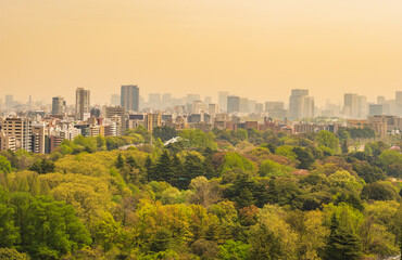 黄砂イメージ　東京