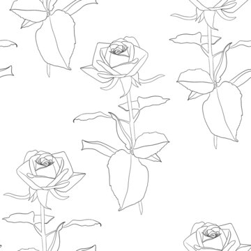 Lineart, black and white contour of the rose. Design for wallpaper, covers, festive wrapping paper, print fabric.