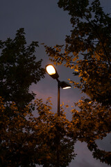 Farola en la noche