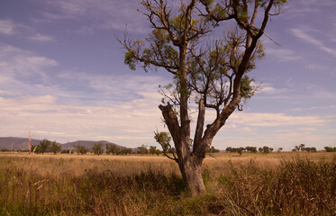 Rural landscapes from around the area of Manilla, North Western NSW