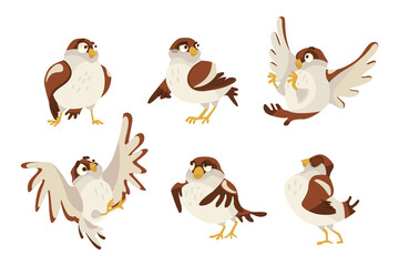 Cute sparrow in different poses cartoon illustration set. Funny small brown bird, expressing various emotion, walking, standing, flapping wings on white background. Animal, wildlife concept