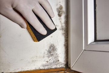 Man uses a sponge to remove stains of toxic mold and fungal bacteria on the wall in the corner near the door. Concept of condensation, moisture. Problems with ventilation. High humidity.