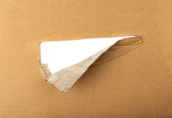 Cardboard, Carton, Ripped Kraft Paper, Wrapping Piece