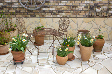 Fototapeta na wymiar clay pots with spring flowers