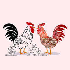 Chicken,hen , rooster illustration poultry and farm animal vector set graphic design element.