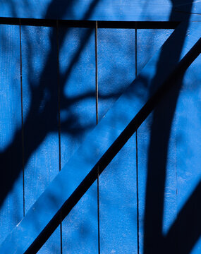 blue wooden door with black shadows of trees cast by sunlight onto blue paint on wood in afternoon light in daytime vertical format room for type door braces shaped like letter z or zed dark blue