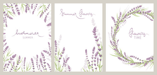 Lavender flowers. Collection vector illustration, banner with wildflowers, background for postcard or invitation.	