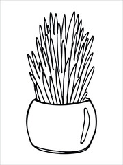 Сute hand drawn houseplant in a pot clipart. Plant illustration isolated on white background. Cozy home doodle.