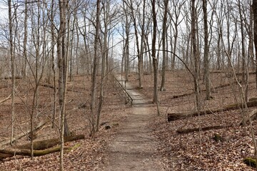 The empty trail on the hike in the forest.
