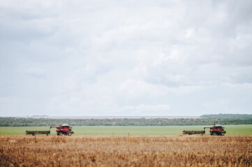 combine harvester working in a field of soybean plantation