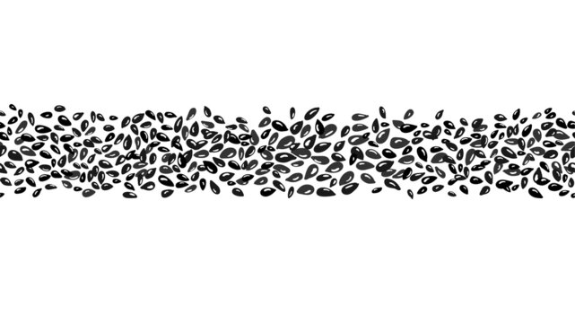 Black sesame, cumin seamless border. Vector seeds