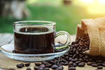 Hot Coffee cup and coffee beans roating on the wooden table beside green garden ranges in the morning sunrise