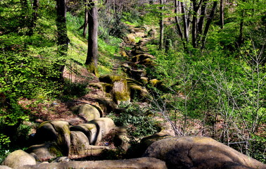 Stone walkway with moss among green trees one sunny spring day in Küçük Çamlıca Korusu Park in the Asian part of Istanbul, Turkey