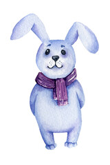 Watercolour cute bunny, symbol of the year, hand drawn sketch, winter illustration