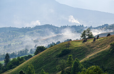 Picturesque summer Carpathian mountain countryside, Ukraine. © wildman