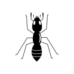 Ant vector illustration design