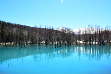 北海道　青い池