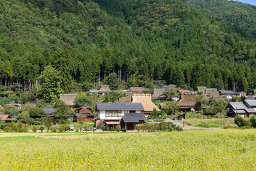 Fototapeta na wymiar Japanese traditional old house miyama village