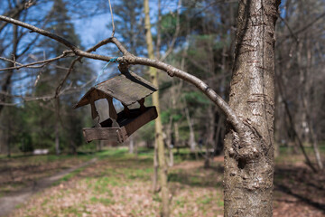 Wooden bird feeder on tree in spring Park