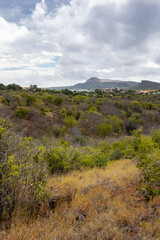 Curacaos table mountain viewed from the Jan Thiel Salt Flats