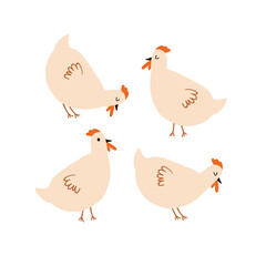 Cute chicken character on white background. Simple farm animal illustration