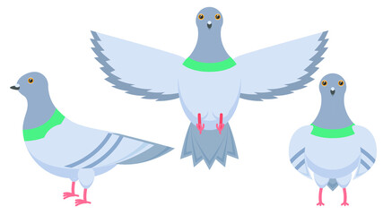 Set Abstract Collection Flat Cartoon Different Animal Birds Pigeons Stand, Flies Vector Design Style Elements Fauna Wildlife