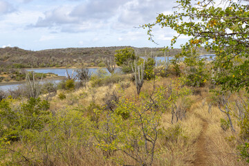 Walking a small, dusty path with view to the Jan Thiel lagoon on the Caribbean island Curacao
