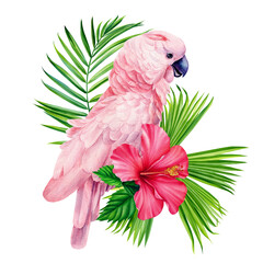 Beautiful pink cockatoo parrot, tropical leaves and hibiscus flowers. Floral exotic watercolor illustration