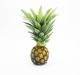 single whole pineapple with leaves isolated on white background