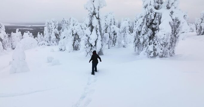 Aerial view of a person arriving at a viewpoint in the snowy forests of Riisitunturi national park, in cloudy Lapland, Finland