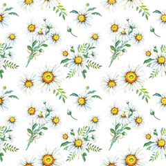 Chamomile watercolor seamless pattern. White summer flowers on gray background