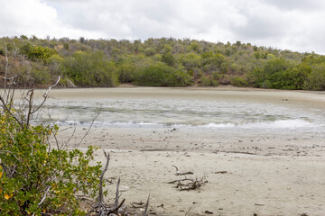 Accumulation of salt at the shores of the Jan Thiel salt flats on the Caribbean island Curacao