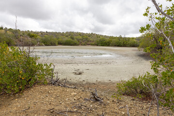Accumulation of salt at the shores of the Jan Thiel salt flats on the Caribbean island Curacao