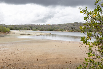 Walking around the shores of the Jan Thiel salt flats on the Caribbean island Curacao