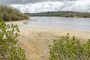 Entering the Jan Thiel Salt Flats from the surrounding forests on the Caribbean island Curacao