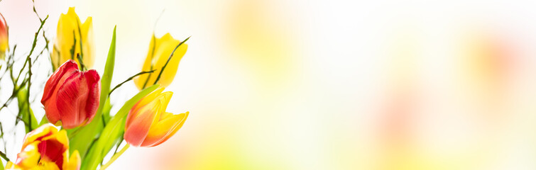Fototapeta premium beautiful bright bouquet of red and yellow tulips on blurred background with copy space, spring flowers at the edge of banner concept