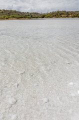 Fototapeta na wymiar Jan Thiel salt flats on the Caribbean island Curacao