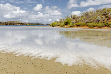 Walk along the salty shores of the Jan Thiel lagoon on the Caribbean island Curacao