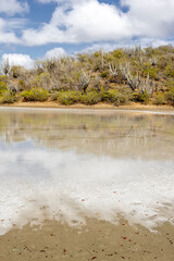 Walk along the salty shores of the Jan Thiel lagoon on the Caribbean island Curacao