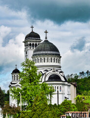 The Orthodox Church 43